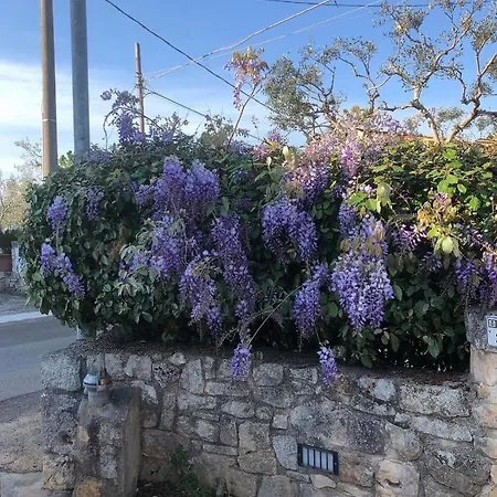 Holiday home Trulli Nonna Graziella Locorotondo